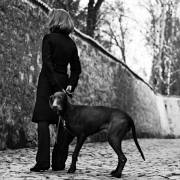 2012-03-02 - La Dame avec le chien
